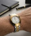 8b66d508-f40f-429a-b8bf-fee851bc6143.webp